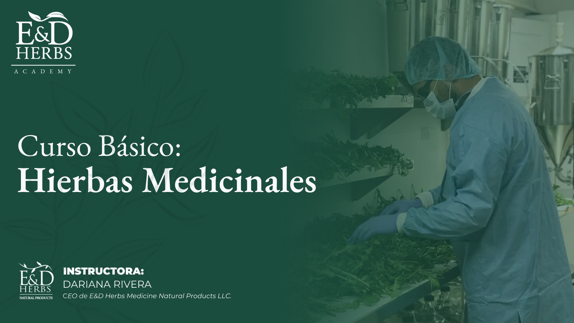 Curso Básico de Hierbas Medicinales